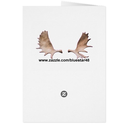 Chocolate Moose Cafe (Back)