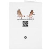 Chocolate Moose Cafe (Back)