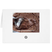 Chocolate Mousse Recipe Card (Back Horizontal)