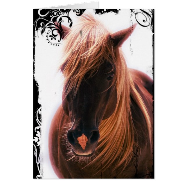 Chocolate Palomino Horse Cards (Front)