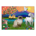 Chocolate Point Himalayan Cat - Fantasy Land