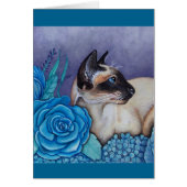 Chocolate Point Siamese  Cat (Front)