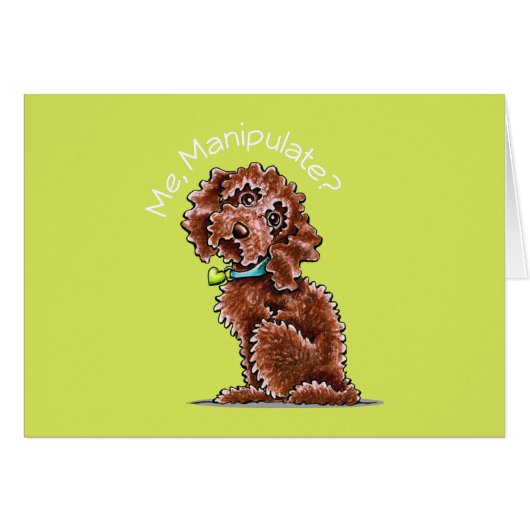 Chocolate Poodle Mix Me Manipulate Cards (Front Horizontal)