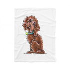 Chocolate Poodle Mix Side Sit