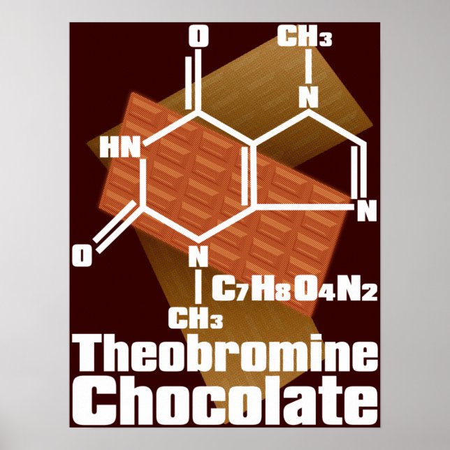 Chocolate Poster (Front)