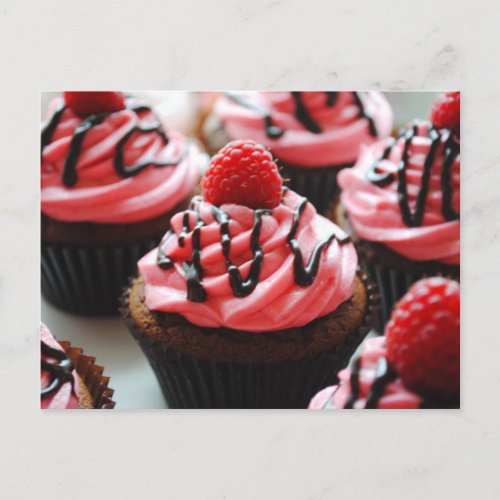 Chocolate Raspberry Cupcake Postcard