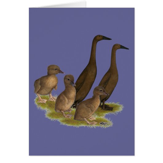 Chocolate Runner Duck Family Cards (Front)