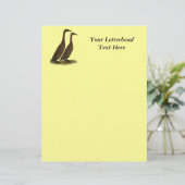 Chocolate Runner Ducks (Standing Front)