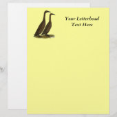 Chocolate Runner Ducks (Front/Back)