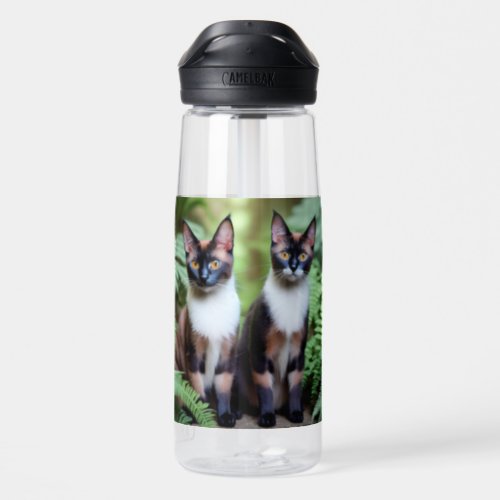 Chocolate Siamese Cat Twins  Water Bottle