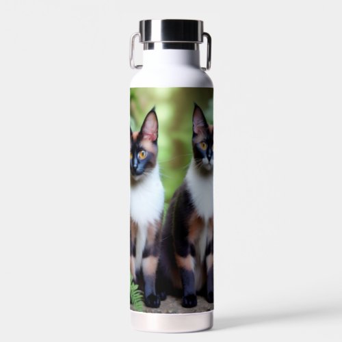 Chocolate Siamese Cat Twins  Water Bottle