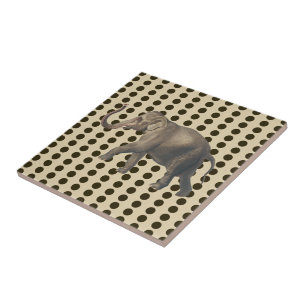 Chocolate Spice Moods Dots with Elephant Tile