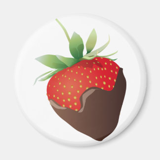 Chocolate Strawberry Magnet