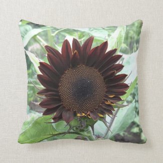 Chocolate Sunflower Opening Bud Throw Pillow