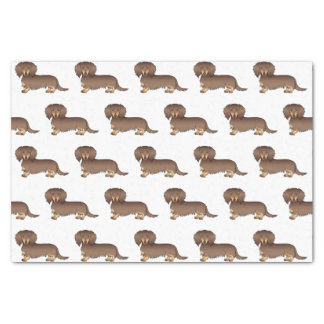 Chocolate &amp; Tan Long Hair Dachshund Dog Pattern Tissue Paper