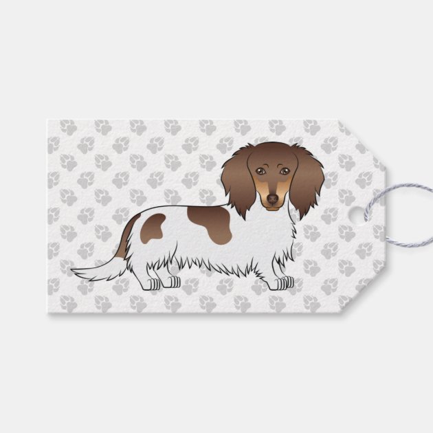 Piebald dachshund gifts new arrivals