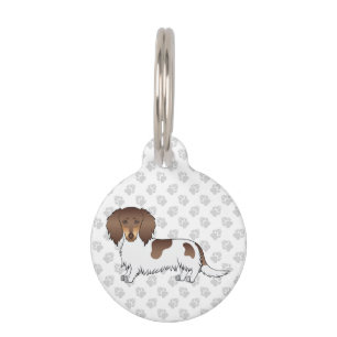Chocolate & Tan Piebald Long Hair Dachshund & Paws Pet ID Tag