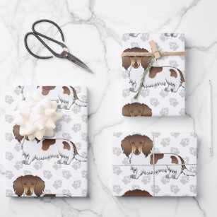 Chocolate & Tan Piebald Long Hair Dachshund & Paws Wrapping Paper Sheets