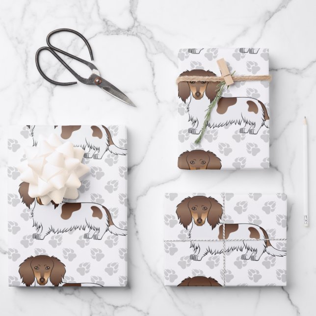 Chocolate & Tan Piebald Long Hair Dachshund & Paws Wrapping Paper Sheets (Front)