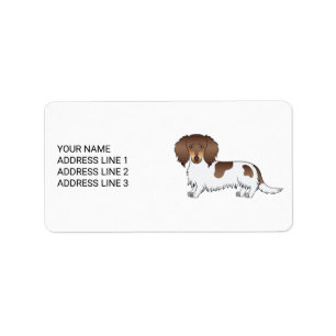 Chocolate & Tan Piebald Long Hair Dachshund & Text Label