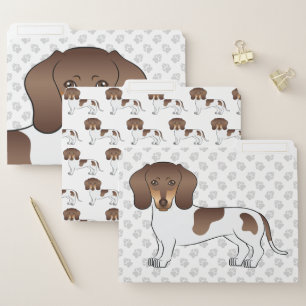 Chocolate & Tan Pied Short Hair Dachshund Cute Dog File Folder