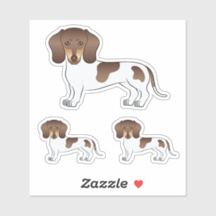 Chocolate & Tan Pied Short Hair Dachshund Cute Dog Sticker