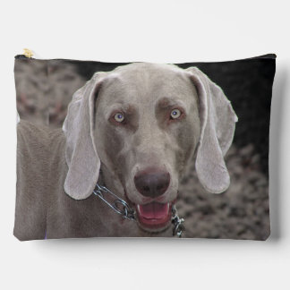 Chocolate Weimaraner Accessory Pouch