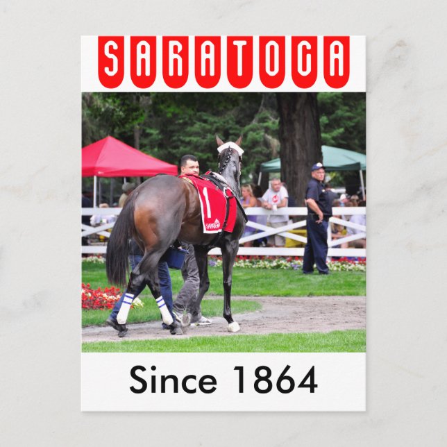 Chocolate Wildcat in the 100th Sanford Stakes Postcard (Front)