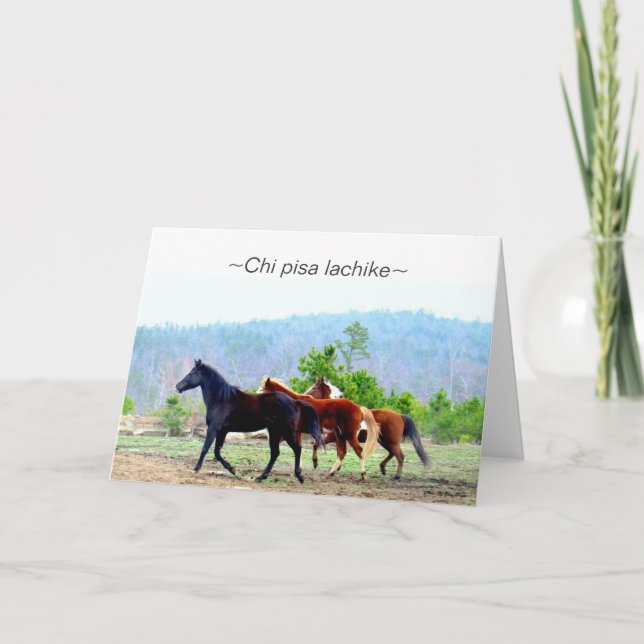 Choctaw Greeting Cards (Chi pisa lachike) (Front)