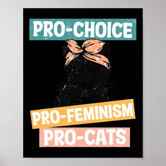Choice Feminist Cat Mom Reproductive Rights Pro Ab Poster (Front)