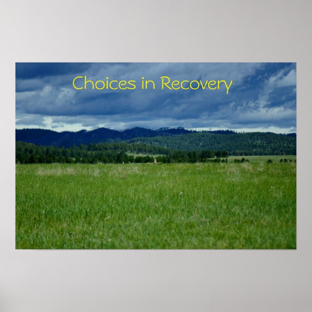 Choices in Recovery  poster/Motivational III Poster (Front)