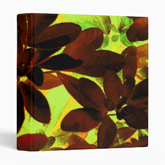 Choisya Autumn 2 binder