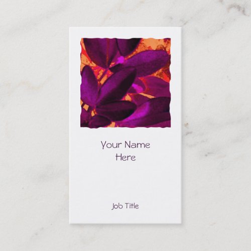 Choisya Autumn 3 square white portrait Business Card