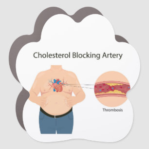  Cholesterol blocking artery Car Magnet