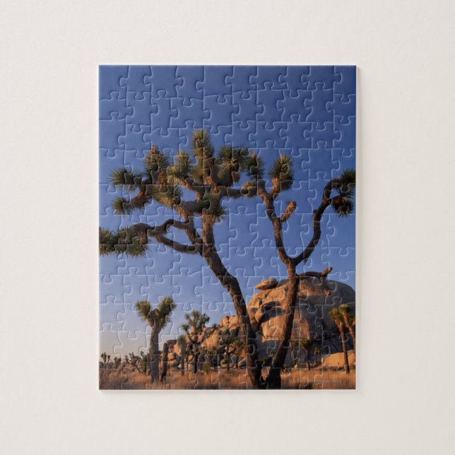Cholla cactus and Cap Rock , Joshua Tree Jigsaw Puzzle (Vertical)