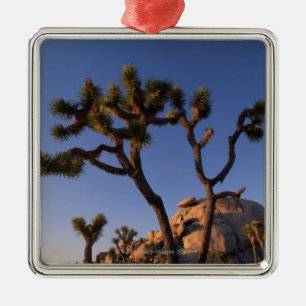 Cholla cactus and Cap Rock , Joshua Tree Metal Ornament