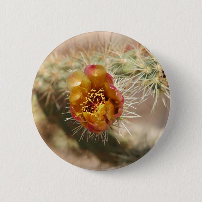 Cholla Cactus Bloom Button (Front)