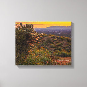 Cholla Cactus Desert Flowers Arizona Sunset 14x11 Canvas Print