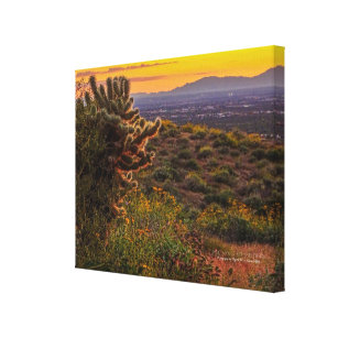 Cholla Cactus Desert Flowers Arizona Sunset 14x11 Canvas Print