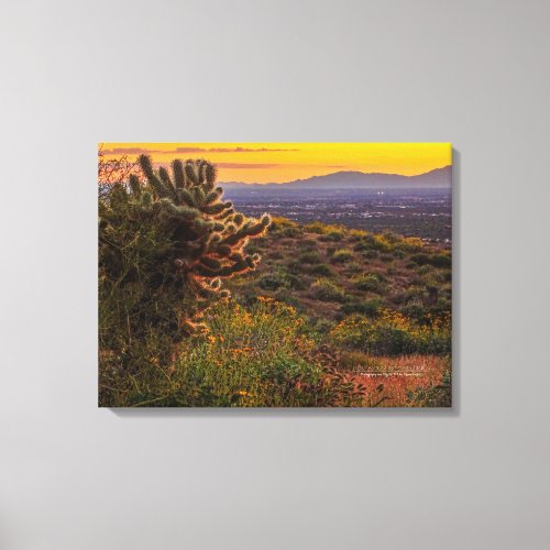 Cholla Cactus Desert Flowers Arizona Sunset 24x18 Canvas Print