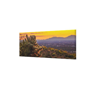 Cholla Cactus Desert Flowers Arizona Sunset 36x12 Canvas Print