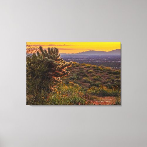 Cholla Cactus Desert Flowers Arizona Sunset 36x24 Canvas Print