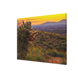 Cholla Cactus Desert Flowers Arizona Sunset 36x24 Canvas Print