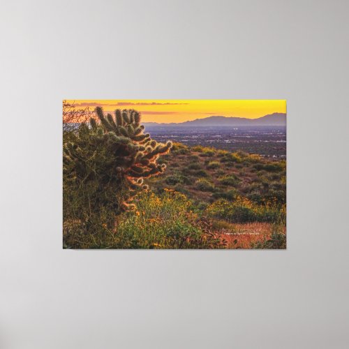 Cholla Cactus Desert Flowers Arizona Sunset 60x40 Canvas Print