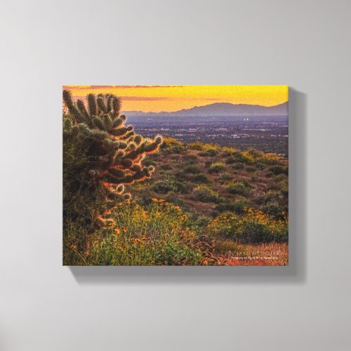 Cholla Cactus Desert Flowers Arizona Sunset 8 x 10 Canvas Print