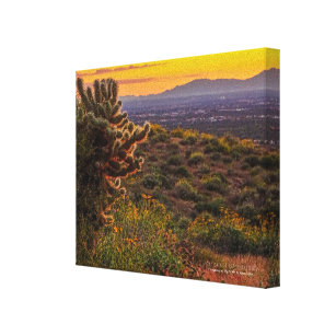 Cholla Cactus Desert Flowers Arizona Sunset 8 x 10 Canvas Print
