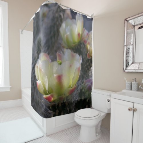 Cholla Cactus Flower Pastel Yellow And Pink Shower Curtain