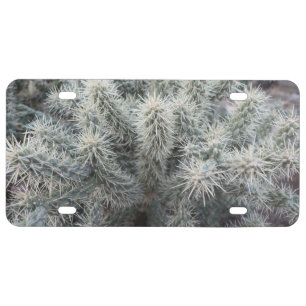 Cholla Cactus in Arizona License Plate