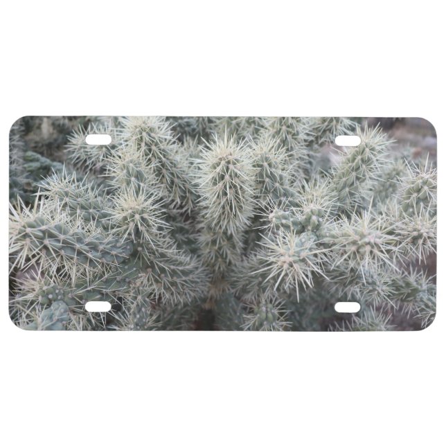 Cholla Cactus in Arizona License Plate (Front)