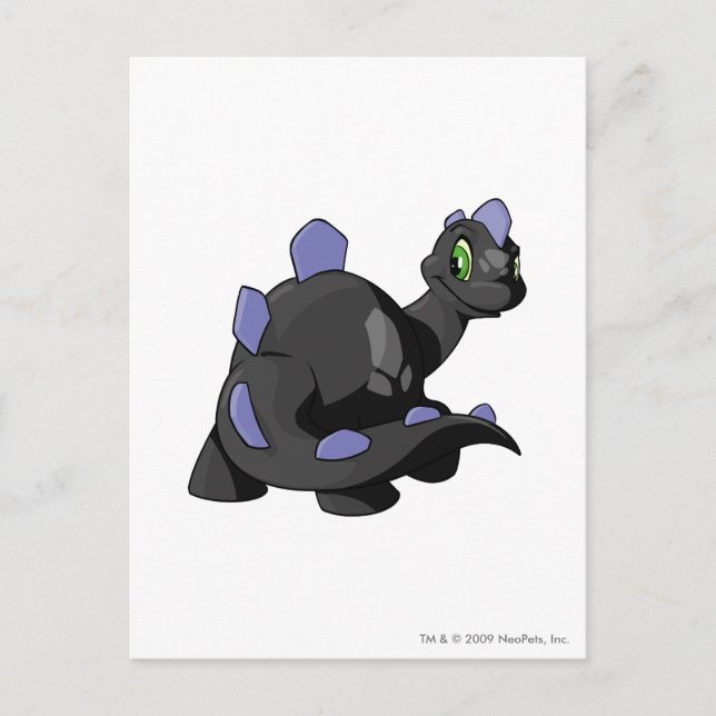 Chomby Shadow Postcard (Front)